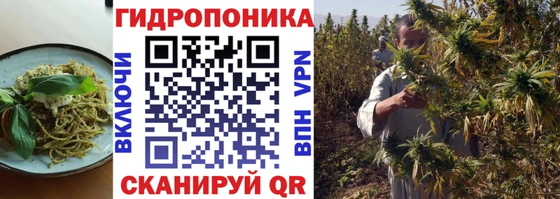 магазин    Данков  это наркотические препараты  Еда ТГК конопля 