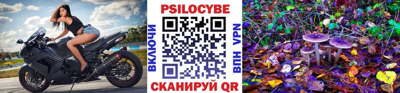 сколько стоит Данков Галлюциногенные грибы MAGIC MUSHROOMS